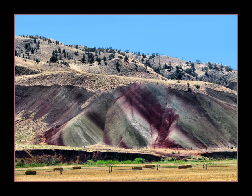 Purple in the Hills - Painted Hills