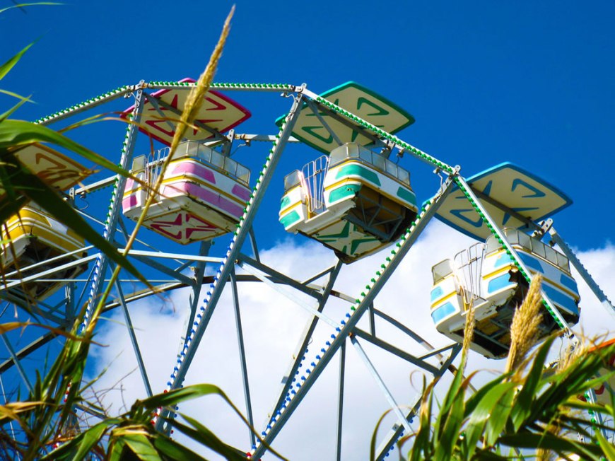 weeds and rides - long way still until nature reclaims abandoned 6 Flags